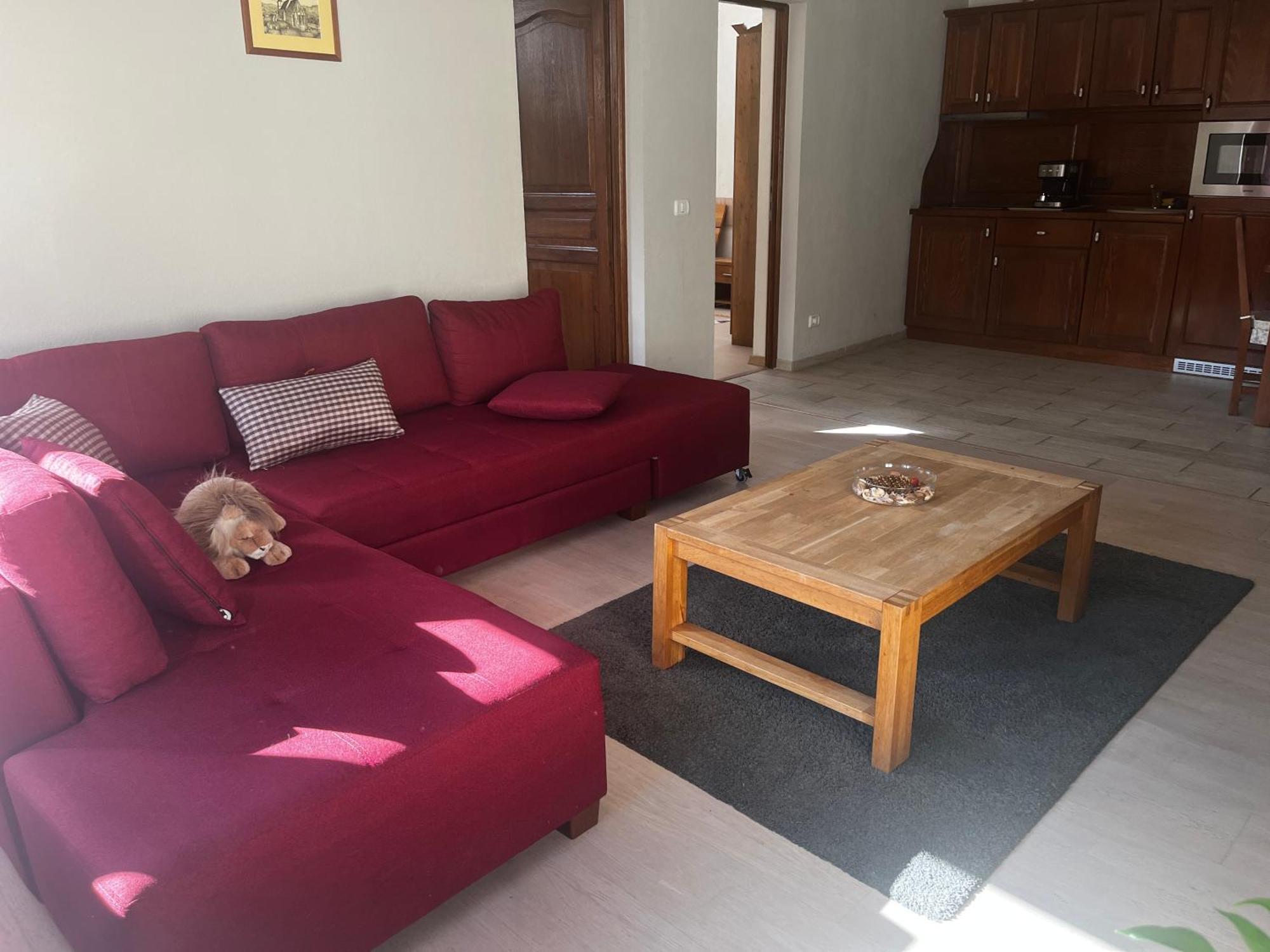 Cozy Apartment 布拉索夫 外观 照片